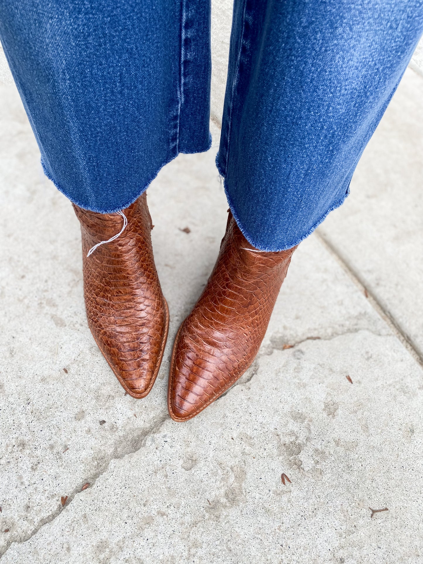 Caty Cognac Snake Bootie